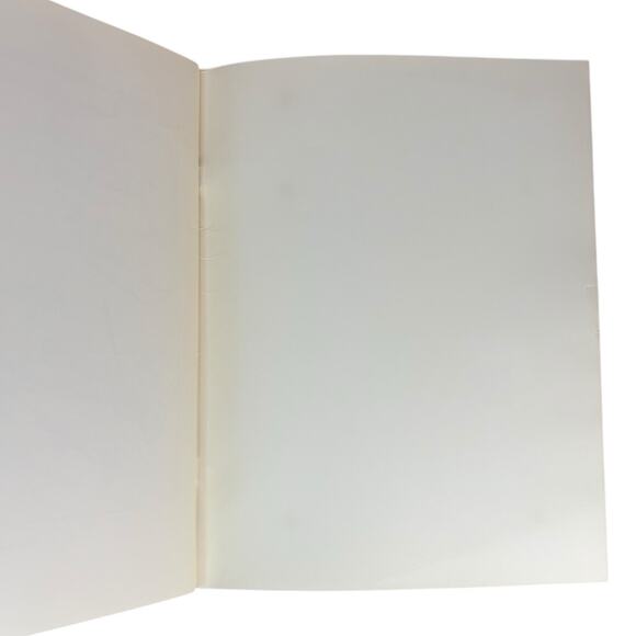 VTG 1968 Ford Lincoln Mercury Service Division Vacuum System Diagnosis Guide OEM - Picture 12 of 12